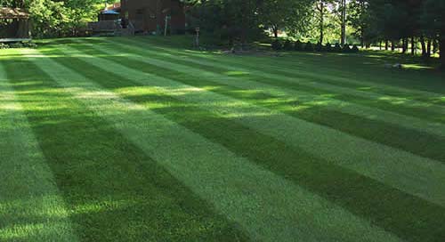 Van Nuys lawn care services